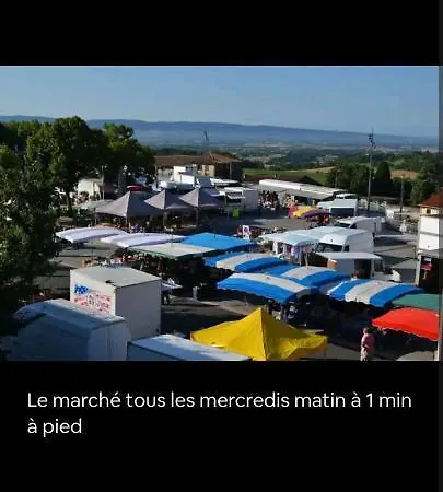 Charmant T2 Refait A Neuf, Au Coeur De Puylaurens Buitenkant foto